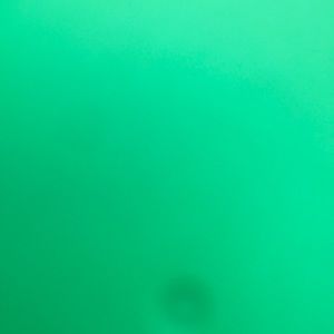 Meet your Posher, Camille